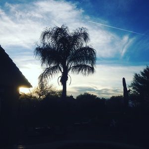 Meet your Posher, Maya